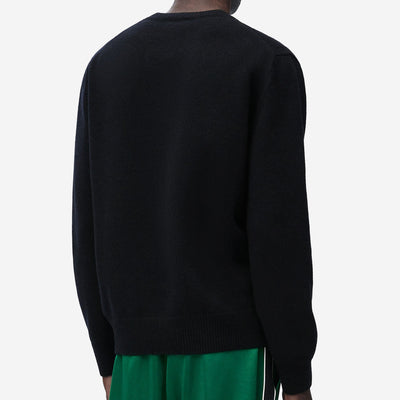 Loewe Embroiderd Anagram Wool Knitwear